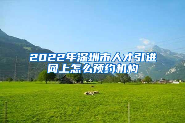 2022年深圳市人才引进网上怎么预约机构