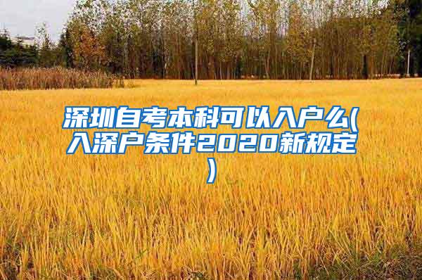 深圳自考本科可以入户么(入深户条件2020新规定)