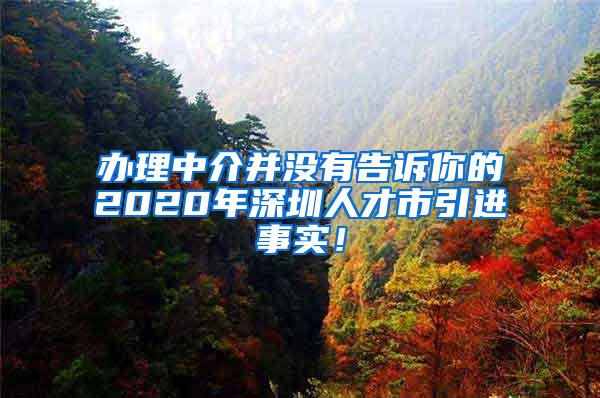 办理中介并没有告诉你的2020年深圳人才市引进事实！