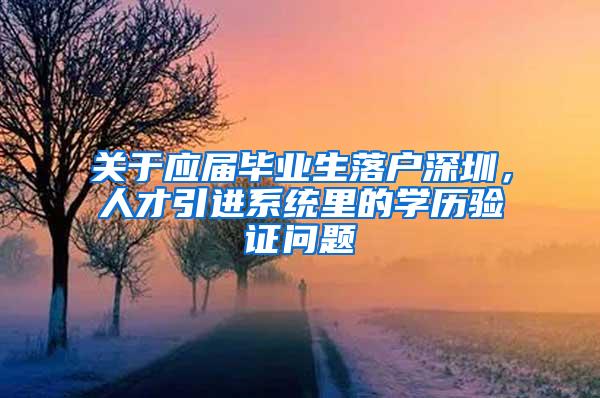 关于应届毕业生落户深圳，人才引进系统里的学历验证问题