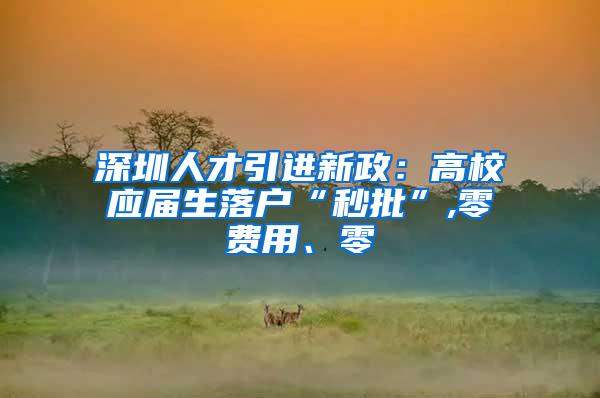 深圳人才引进新政：高校应届生落户“秒批”,零费用、零