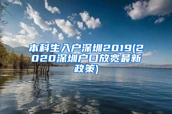 本科生入户深圳2019(2020深圳户口放宽最新政策)