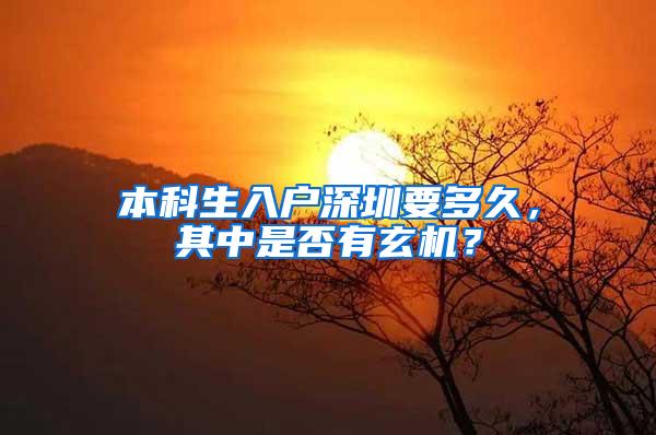 本科生入户深圳要多久，其中是否有玄机？