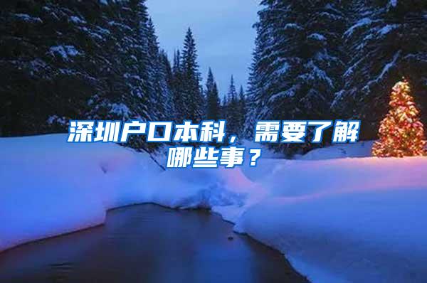 深圳户口本科，需要了解哪些事？