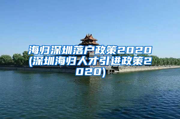 海归深圳落户政策2020(深圳海归人才引进政策2020)