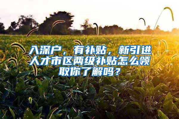 入深户，有补贴，新引进人才市区两级补贴怎么领取你了解吗？