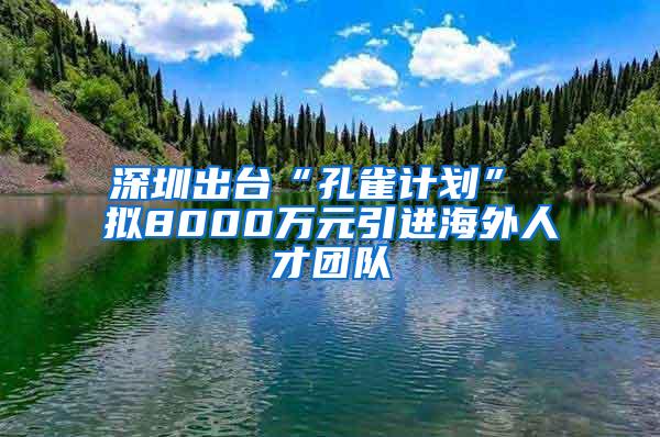 深圳出台“孔雀计划” 拟8000万元引进海外人才团队