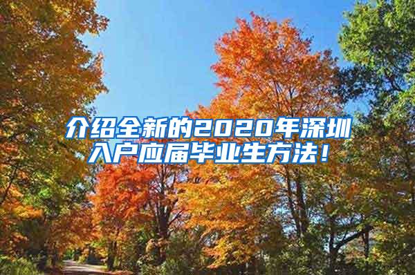 介绍全新的2020年深圳入户应届毕业生方法！