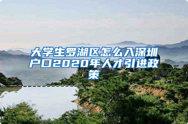 大学生罗湖区怎么入深圳户口2020年人才引进政策