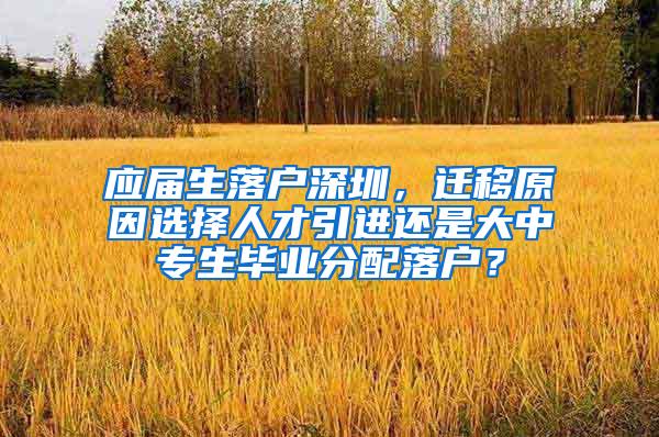 应届生落户深圳，迁移原因选择人才引进还是大中专生毕业分配落户？