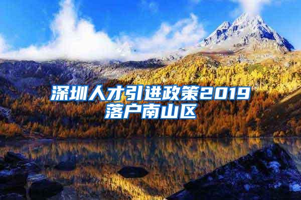 深圳人才引进政策2019落户南山区