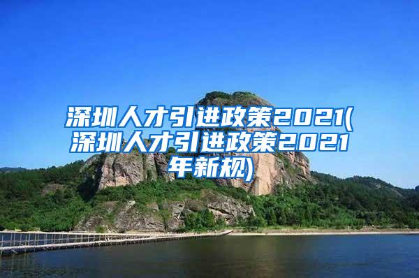 深圳人才引进政策2021(深圳人才引进政策2021年新规)