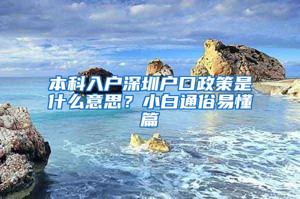 本科入户深圳户口政策是什么意思？小白通俗易懂篇