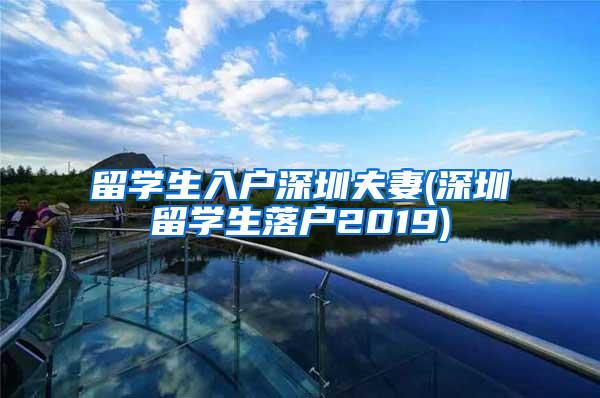 留学生入户深圳夫妻(深圳留学生落户2019)