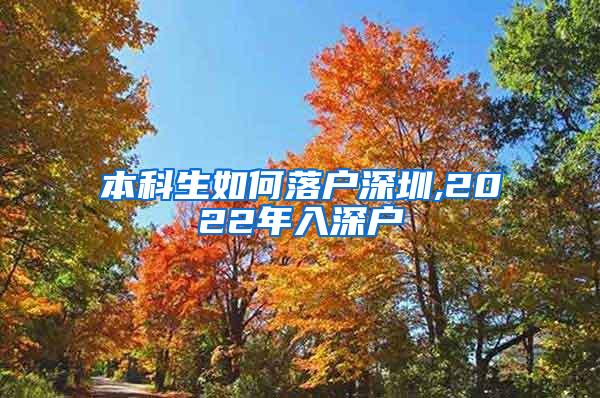 本科生如何落户深圳,2022年入深户