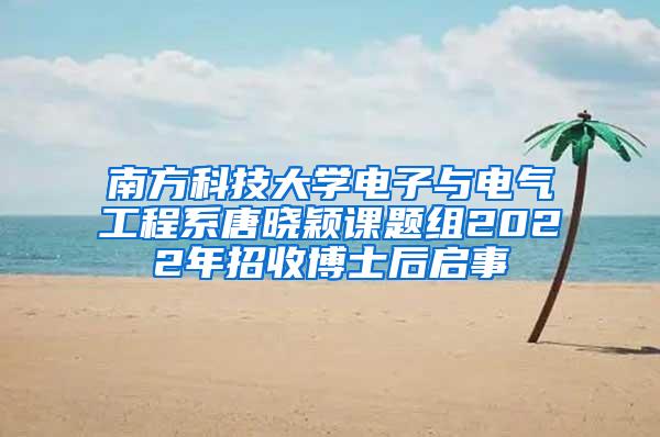 南方科技大学电子与电气工程系唐晓颖课题组2022年招收博士后启事