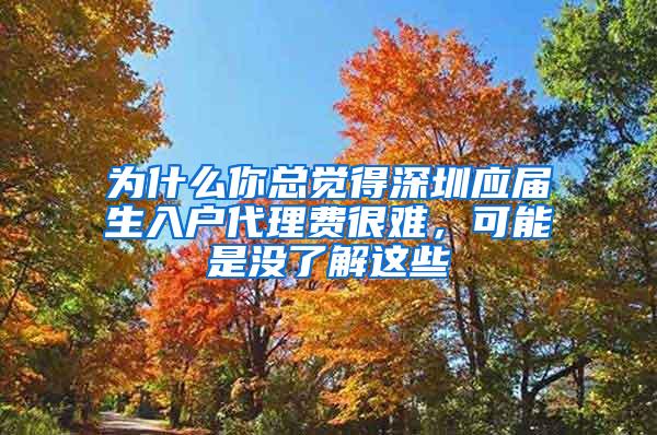 为什么你总觉得深圳应届生入户代理费很难，可能是没了解这些