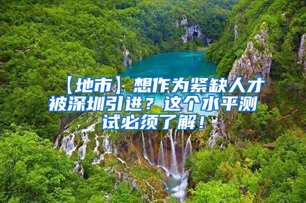 【地市】想作为紧缺人才被深圳引进？这个水平测试必须了解！