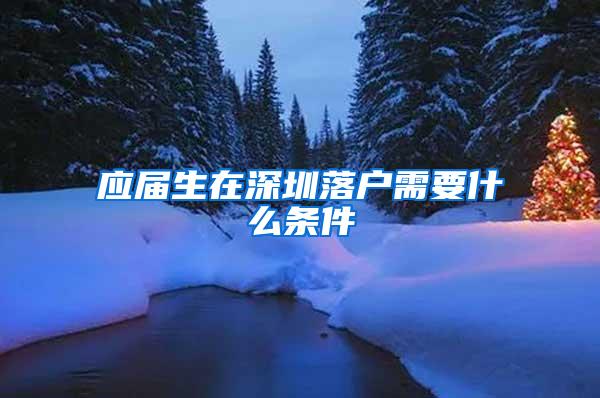 应届生在深圳落户需要什么条件