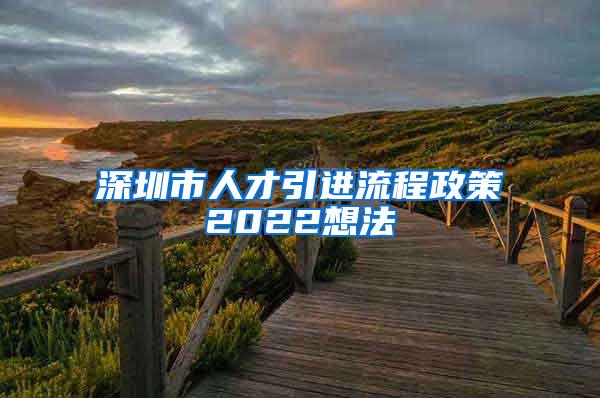 深圳市人才引进流程政策2022想法