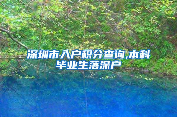 深圳市入户积分查询,本科毕业生落深户