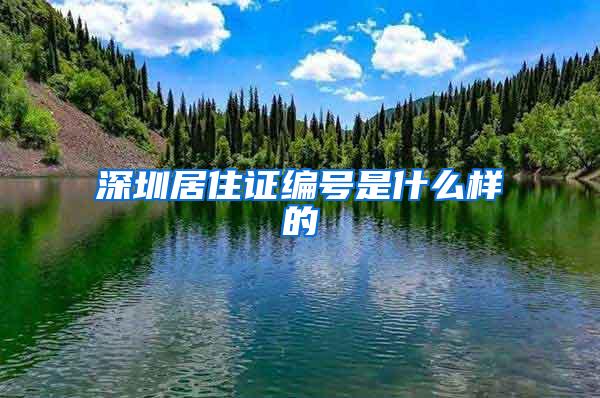 深圳居住证编号是什么样的