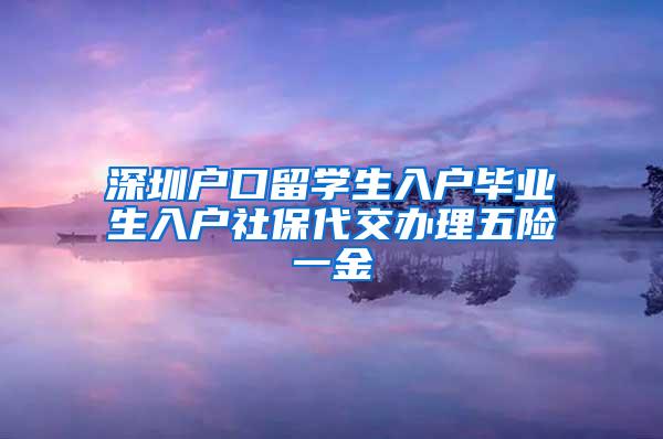 深圳户口留学生入户毕业生入户社保代交办理五险一金