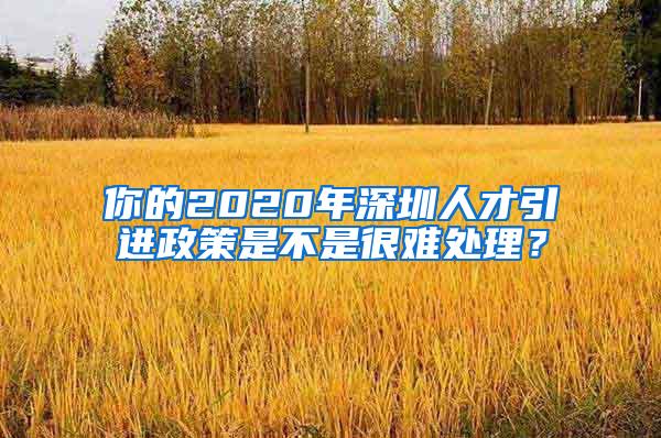 你的2020年深圳人才引进政策是不是很难处理？