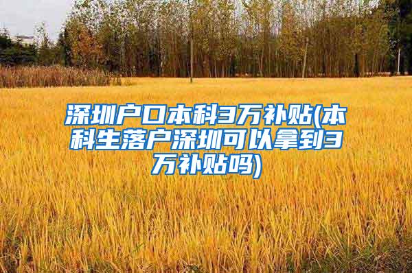 深圳户口本科3万补贴(本科生落户深圳可以拿到3万补贴吗)