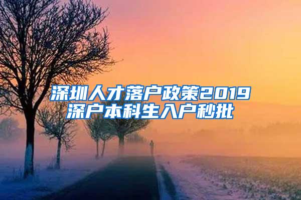 深圳人才落户政策2019深户本科生入户秒批