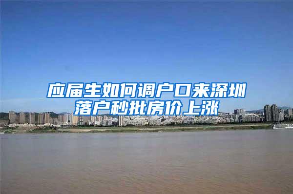 应届生如何调户口来深圳落户秒批房价上涨