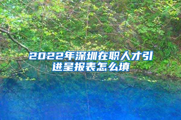 2022年深圳在职人才引进呈报表怎么填