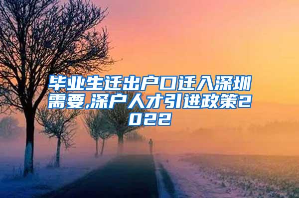 毕业生迁出户口迁入深圳需要,深户人才引进政策2022