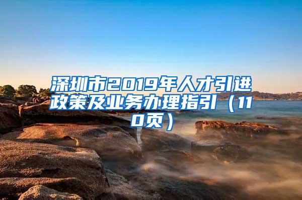 深圳市2019年人才引进政策及业务办理指引（110页）