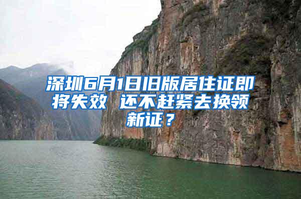 深圳6月1日旧版居住证即将失效 还不赶紧去换领新证？