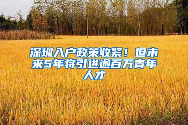 深圳入户政策收紧！但未来5年将引进逾百万青年人才