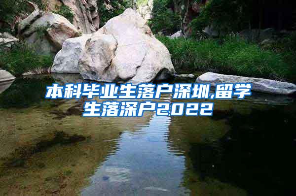 本科毕业生落户深圳,留学生落深户2022