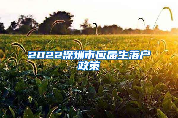 2022深圳市应届生落户政策