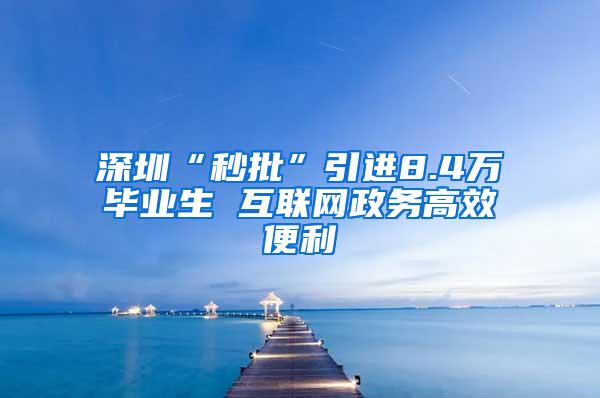 深圳“秒批”引进8.4万毕业生 互联网政务高效便利