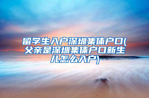 留学生入户深圳集体户口(父亲是深圳集体户口新生儿怎么入户)