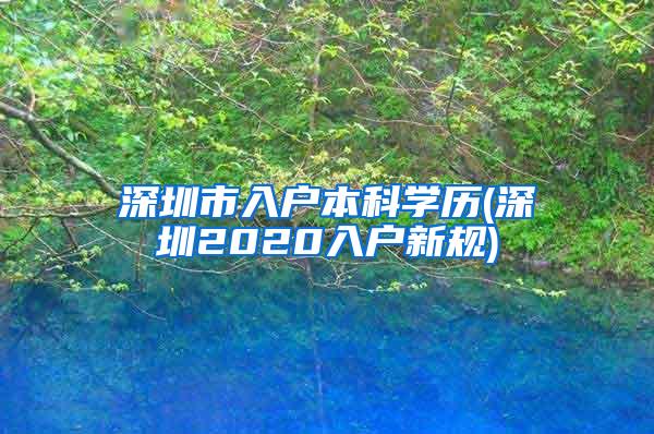 深圳市入户本科学历(深圳2020入户新规)