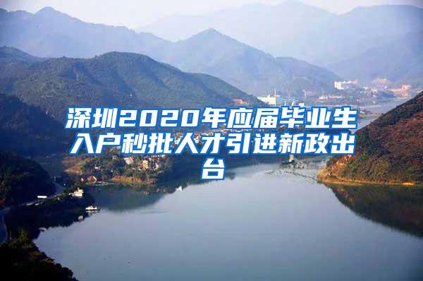 深圳2020年应届毕业生入户秒批人才引进新政出台