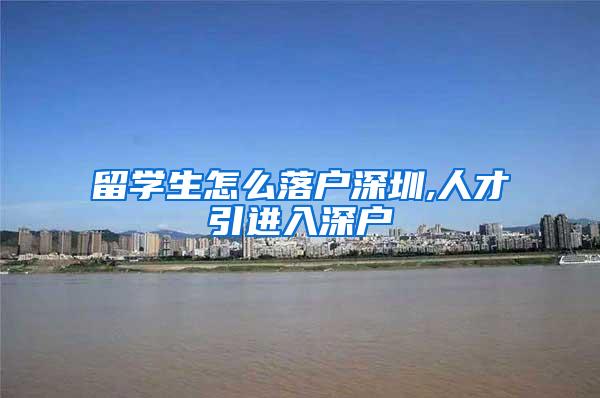 留学生怎么落户深圳,人才引进入深户