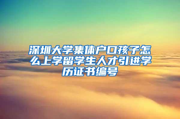 深圳大学集体户口孩子怎么上学留学生人才引进学历证书编号