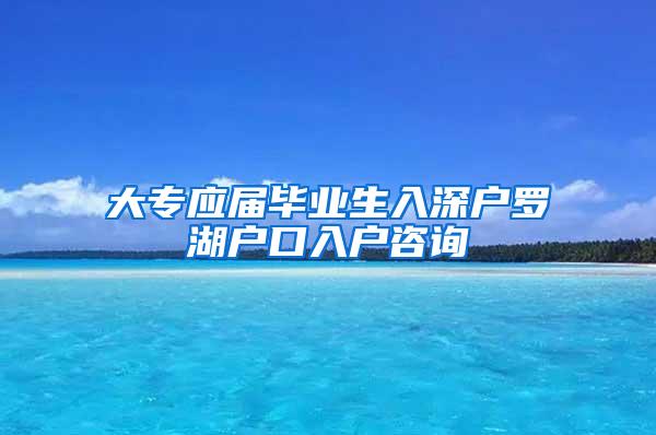 大专应届毕业生入深户罗湖户口入户咨询