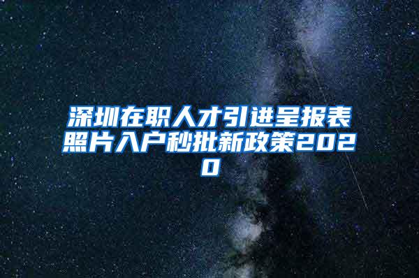 深圳在职人才引进呈报表照片入户秒批新政策2020