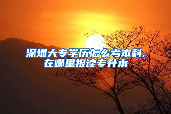 深圳大专学历怎么考本科,在哪里报读专升本