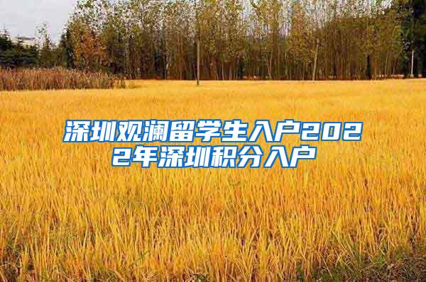 深圳观澜留学生入户2022年深圳积分入户