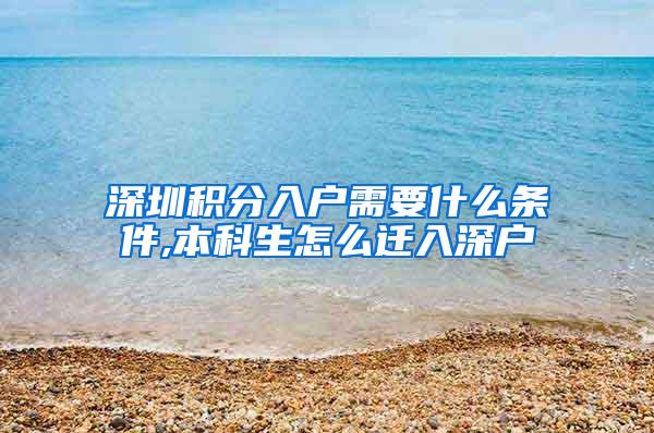 深圳积分入户需要什么条件,本科生怎么迁入深户