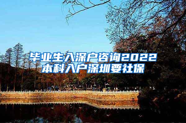 毕业生入深户咨询2022本科入户深圳要社保